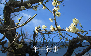 年中行事