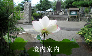 境内案内